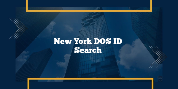 New York DOS ID Search