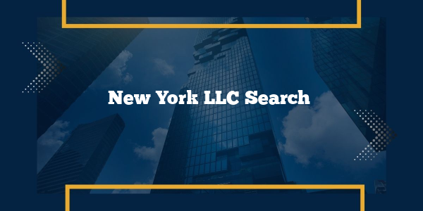 New York LLC Search